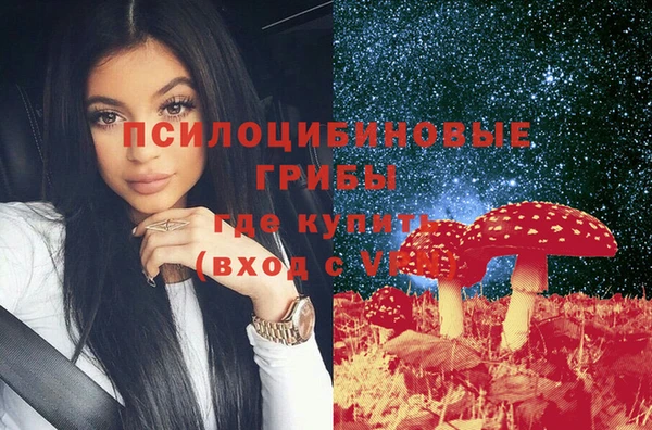 ГАЛЛЮЦИНОГЕННЫЕ ГРИБЫ Михайловка