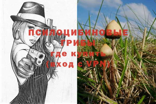 гашик Михайлов