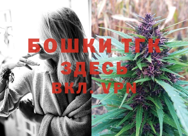 крисы Слюдянка