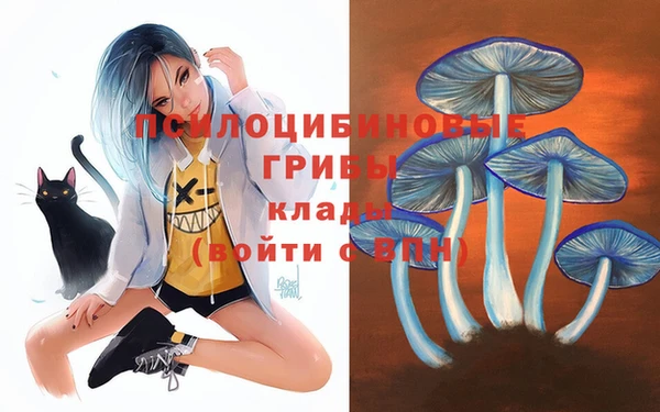 а пвп мука Медвежьегорск
