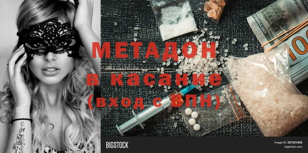 прущие грибы Магадан