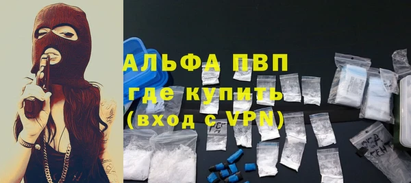 гашик Михайлов