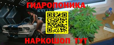 ALPHA PVP Гусев