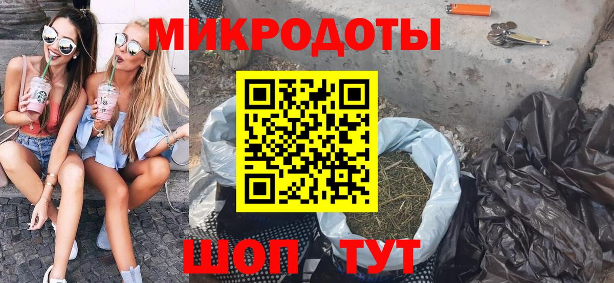 Псилоцибиновые грибы Psilocybine cubensis Фролово